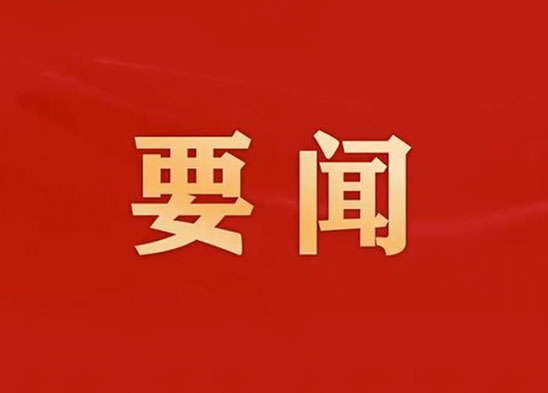 30个关头词带你速学四中全会公报